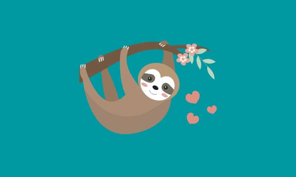 gifts for sloth lovers