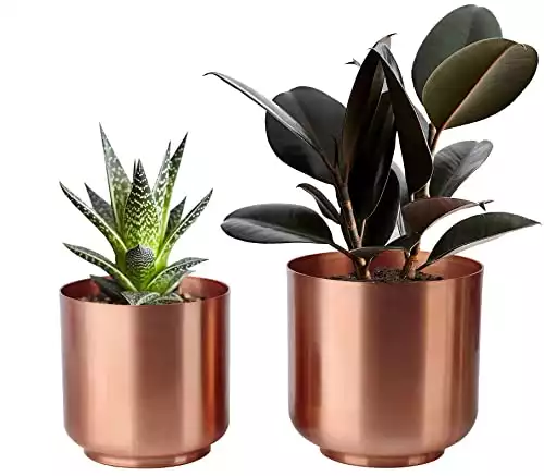 Copper Succulent Planter Pots